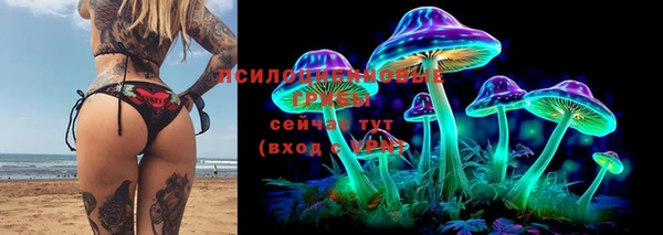 ПСИЛОЦИБИНОВЫЕ ГРИБЫ Алексин