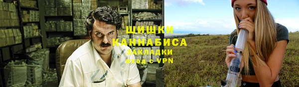 ПСИЛОЦИБИНОВЫЕ ГРИБЫ Алексин