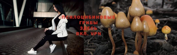 ПСИЛОЦИБИНОВЫЕ ГРИБЫ Алексин