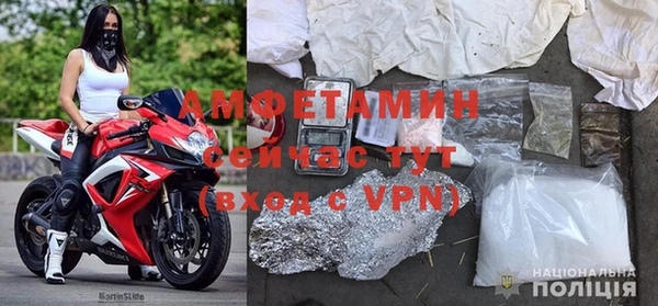 ПСИЛОЦИБИНОВЫЕ ГРИБЫ Алексин