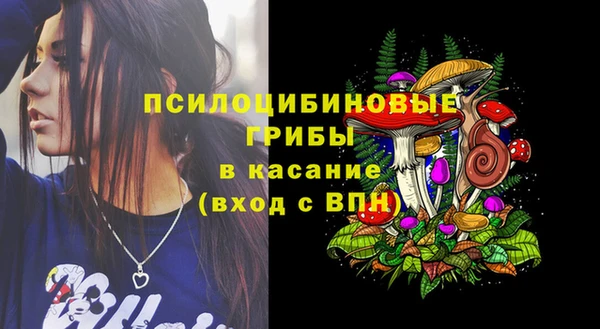 ПСИЛОЦИБИНОВЫЕ ГРИБЫ Алексин