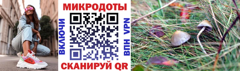 Псилоцибиновые грибы GOLDEN TEACHER  Канаш 