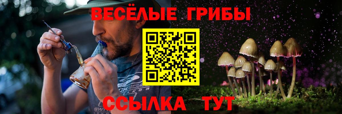 Галлюциногенные грибы GOLDEN TEACHER  Вход с VPN  Галлюциногенные грибы Psilocybe  Канаш 