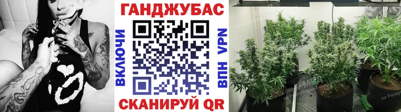 Шишки марихуана VHQ  darknet клад  Канаш 